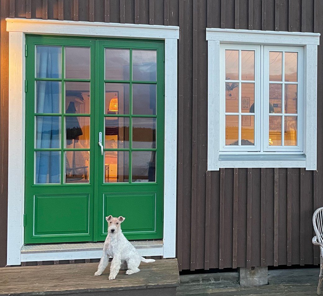 Gammaldags grön altandörr SW17 panel m spegel fast allmoge spröjs